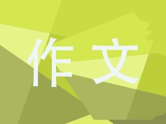 高中三年级元宵节见闻作文