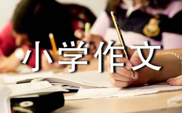 红心在哪里小学作文