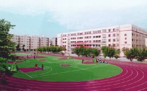 创建绿色的校园作文（精选53篇）